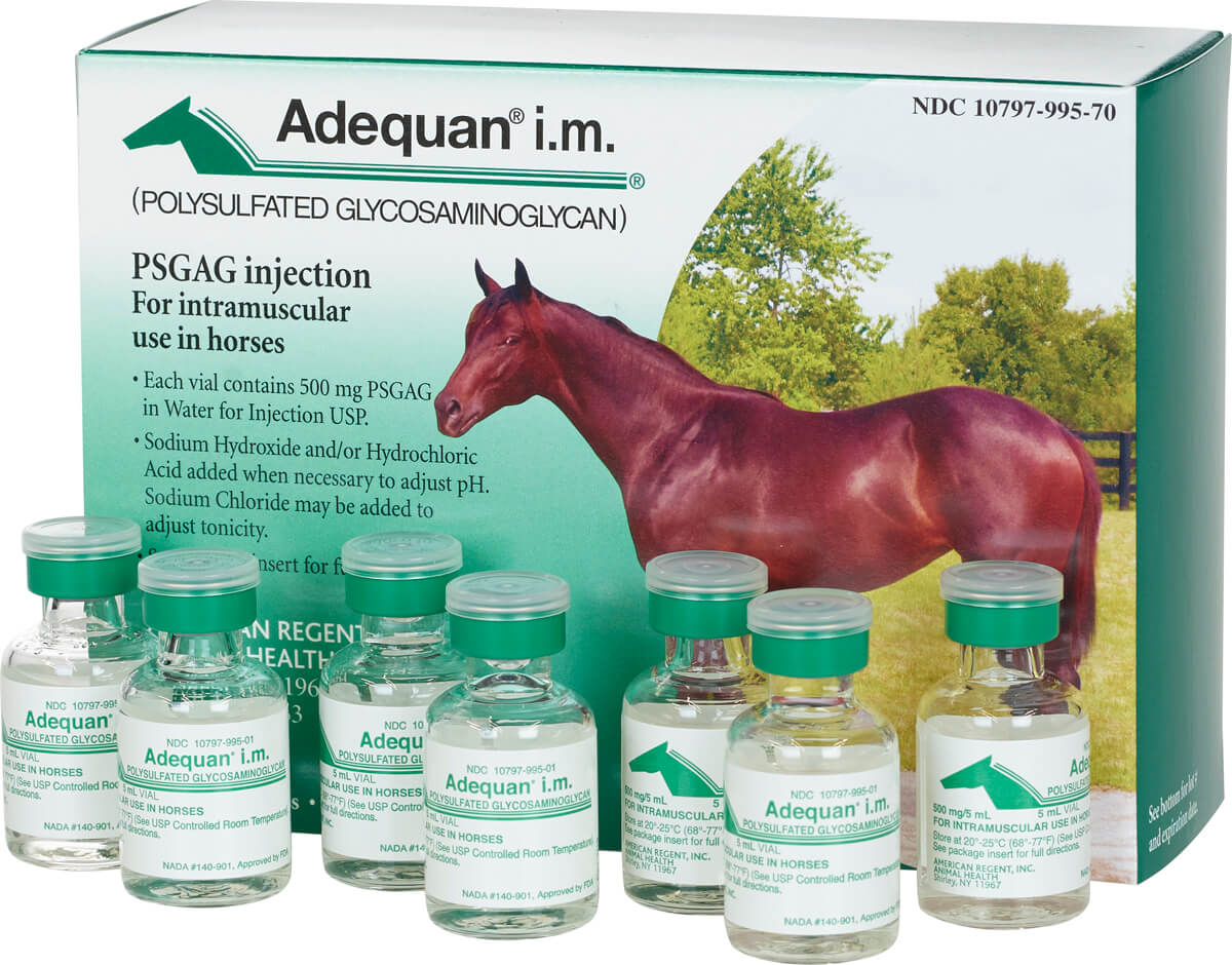 Adequan Equine I.M. 500mg/5ml 7 x 5ml - Buy - Adequan - Breedersco.com