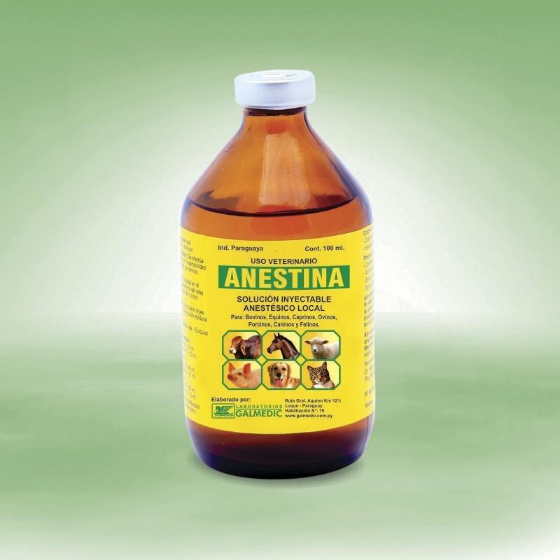 ANESTINA 100ml