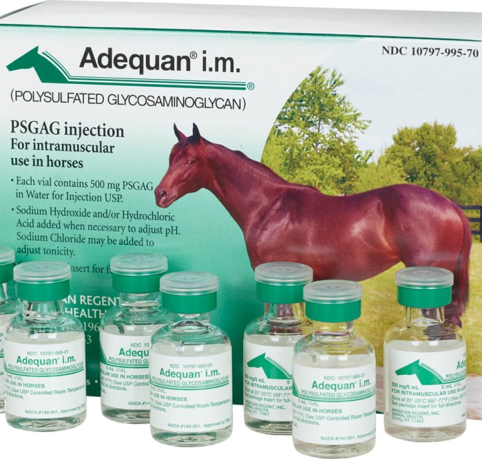 Adequan Equine I.M. 500mg/5ml 7 x 5ml