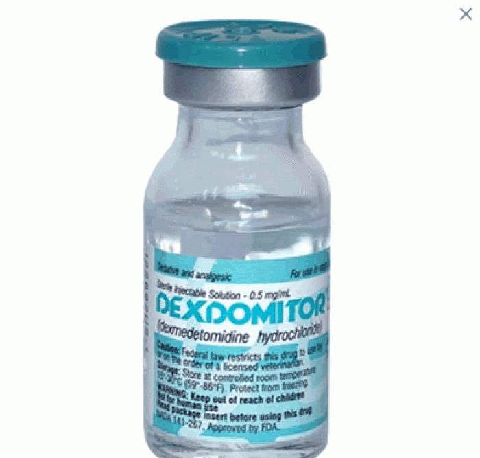 Dexdomitor 10 ml