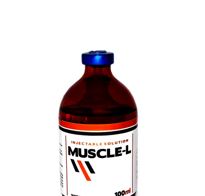 Muscle-L 100 mL