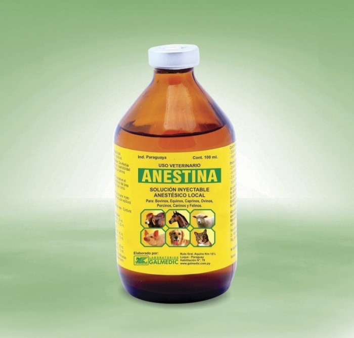 ANESTINA 100ml