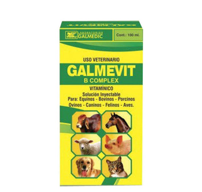 GALMEVIT B COMPLEX 100ml INJ 