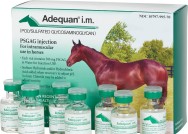 Adequan Equine I.M. 500mg/5ml 7 x 5ml