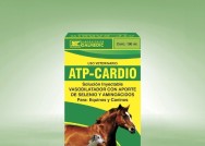 ATP Cardio 100ml