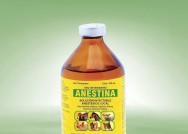 ANESTINA 100ml