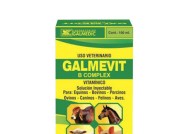 GALMEVIT B COMPLEX 100ml INJ 